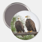 H&Oサークルマグネット（各種サイズ利用可能） マグネット (正面/裏面)