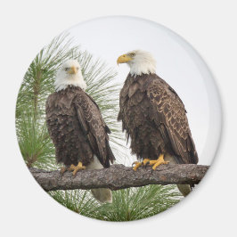 H&Oサークルマグネット（各種サイズ利用可能） マグネット