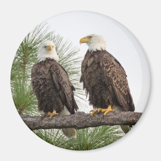 H&Oサークルマグネット（各種サイズ利用可能） マグネット (正面)