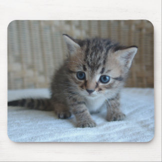 Habuのマウスパッド マウスパッド