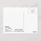 Habuは郵便はがき感謝していしています ポストカード (裏面)