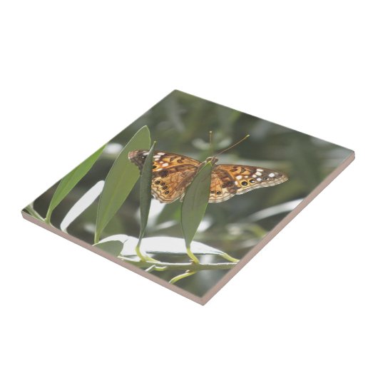 Hackberry皇帝蝶 タイル (側面)