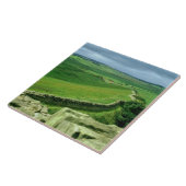 Hadrianの壁、2世紀な広告(石のセクション タイル (側面)