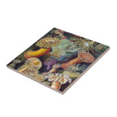 Haeckelのいそぎんちゃくの製陶術 タイル (側面)