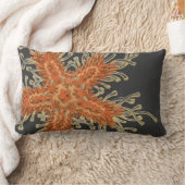 Haeckelのヴィンテージのシーライフ ランバークッション (ブランケット)