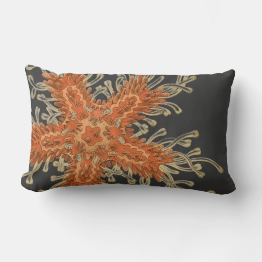 Haeckelのヴィンテージのシーライフ ランバークッション (正面)