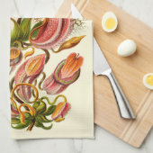 Haeckelの嚢状葉植物の植物のイラストレーション キッチンタオル (四つ折り)