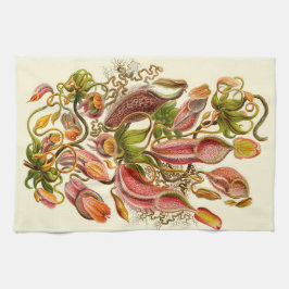 Haeckelの嚢状葉植物の植物のイラストレーション キッチンタオル