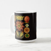 Haeckelの棘皮動物の大きいマグ コーヒーマグカップ (正面左)