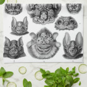 HaeckelのChiroptera キッチンタオル (折り畳み)