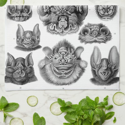 HaeckelのChiroptera キッチンタオル (折り畳み)