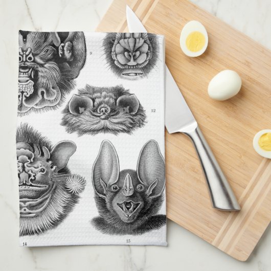 HaeckelのChiroptera キッチンタオル (四つ折り)