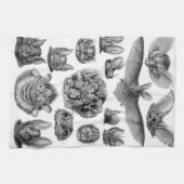 HaeckelのChiroptera キッチンタオル (横)