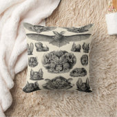 HaeckelのChiroptera クッション (ブランケット)