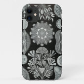 HaeckelのiPhoneの場合- Diatomea Case-Mate iPhoneケース (裏面)