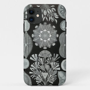 HaeckelのiPhoneの場合- Diatomea iPhone 11 ケース