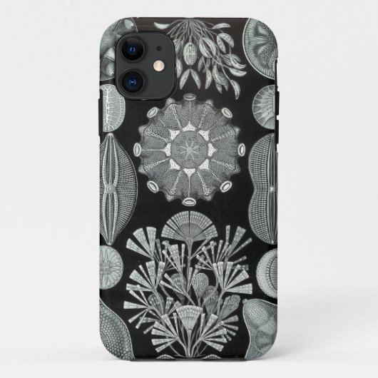 HaeckelのiPhoneの場合- Diatomea Case-Mate iPhoneケース (裏面)