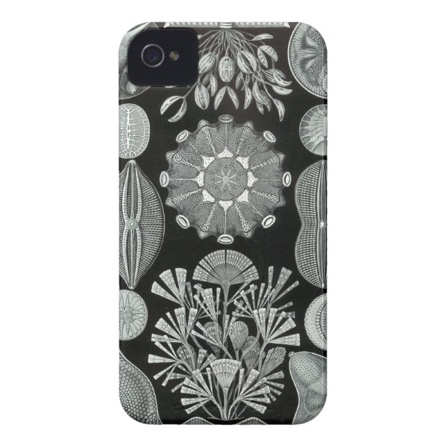 HaeckelのiPhoneの場合- Diatomea Case-Mate iPhoneケース (裏面)