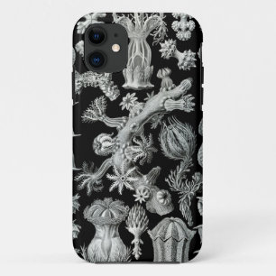 HaeckelのiPhoneの場合- Gorgonida iPhone 11 ケース