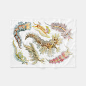 HaeckelのNudibranchiaのフリースブランケット フリースブランケット (正面(横))