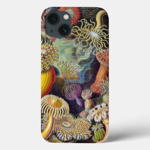 Haeckel Actiniaeのヴィンテージのプリント iPhone 13ケース