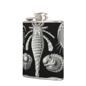Haeckel Aspidonia フラスク (左)