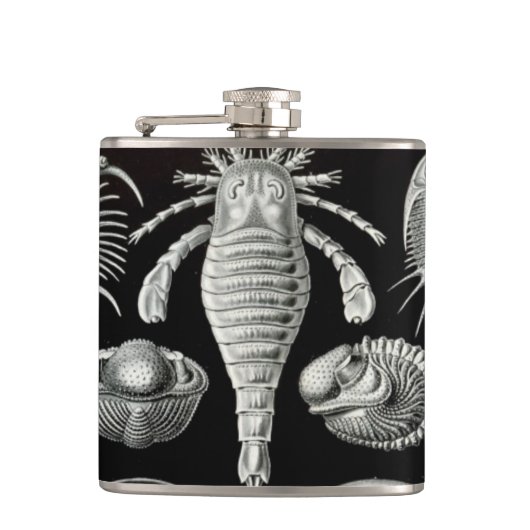 Haeckel Aspidonia フラスク (正面)
