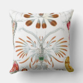 Haeckel Copepoda クッション (裏面)