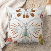 Haeckel Copepoda クッション (ブランケット)