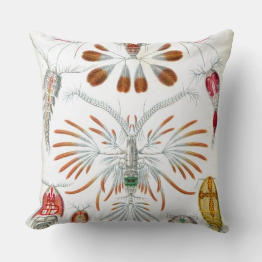 Haeckel Copepoda クッション (正面)