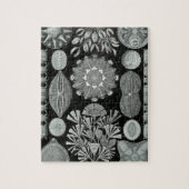 Haeckel Diatomea ジグソーパズル (縦)
