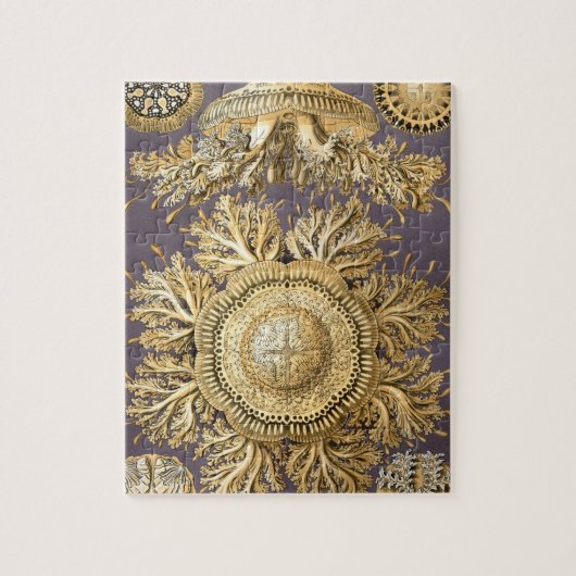 Haeckel Discomedusae ジグソーパズル (縦)