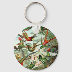 Haeckel KeychainのHummingbird (Trochilidae) キーホルダー
