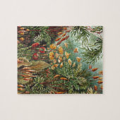 Haeckel Moss Grass Mushroom Painting ジグソーパズル (横)