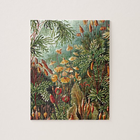 Haeckel Moss Grass Mushroom Painting ジグソーパズル (縦)