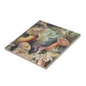 Haeckel Sea Anemones Nautical Sea Life Art Collage タイル (側面)