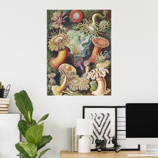 Haeckel Sea Anemones Nautical Sea Life Art Collage ポスター (ホームオフィス)