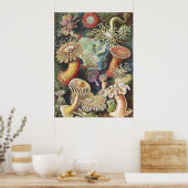 Haeckel Sea Anemones Nautical Sea Life Art Collage ポスター (キッチン)