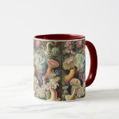 Haeckel Sea Anemones Nautical Sea Life Art Collage マグカップ (正面右)