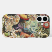Haeckel Sea Anemones Nautical Sea Life Art Collage Case-Mate iPhoneケース (裏面 (横))