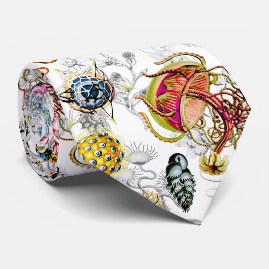 Haeckeliana ネクタイ (ロール)