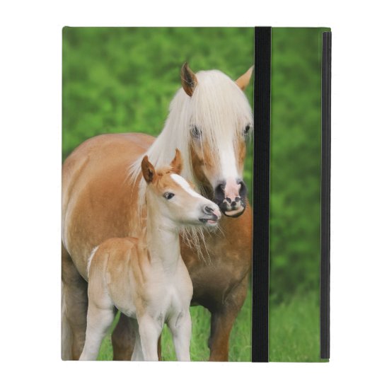 Haflingerの馬のかわいい子馬のキスのミイラの写真hardcase Ipad ケース Zazzle Co Jp