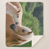 Haflingerのかわいい馬子馬およびお母さんの抱きしめるキス。 シェルパブランケット (正面)