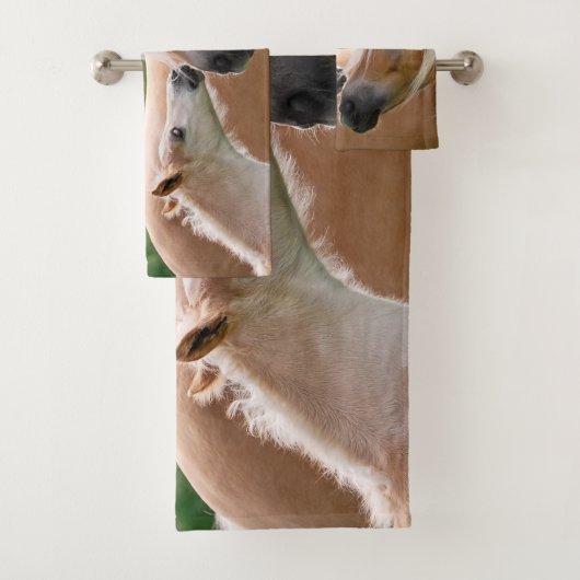 Haflingerのかわいい馬子馬およびお母さんの抱きしめるキス。 バスタオルセット (インサイチュ)