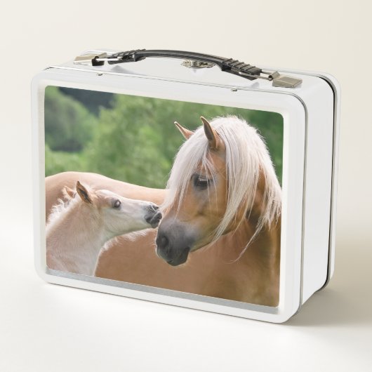 Haflingerのかわいい馬産みますおよびお母さんの抱きしめるキスは/ メタルランチボックス (裏面)