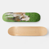 Haflingerの馬のおもしろいなかわいい子馬のキスのミイラの写真 スケートボード (横)