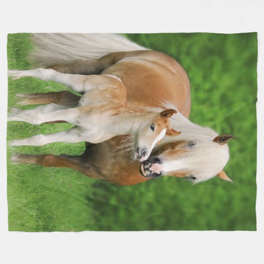 Haflingerの馬のおもしろいなかわいい子馬のキスのミイラ-居心地のよい フリースブランケット (正面(横))