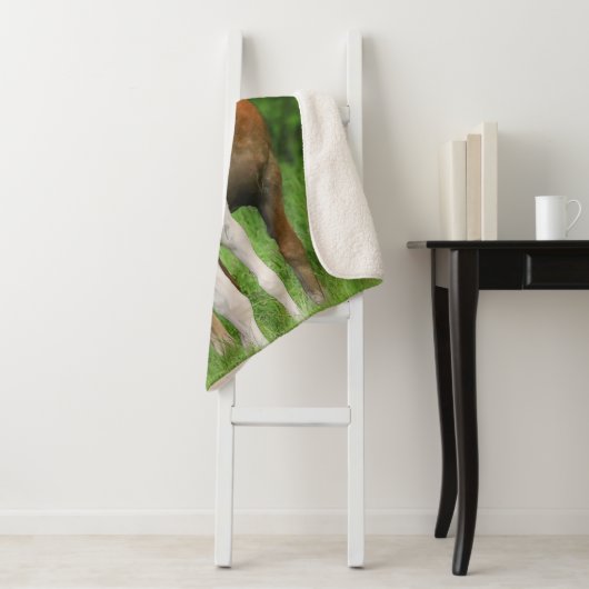 Haflingerの馬のかわいいベビーの子馬のキスのミイラの子馬の写真 シェルパブランケット (インサイチュ)