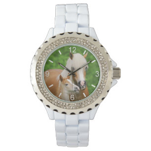 Haflingerの馬のかわいい子馬のキスのミイラ-目盛板 腕時計