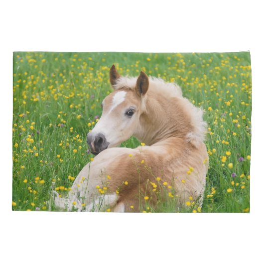 Haflingerの馬のかわいい子馬の花壇枕カバー 枕カバー (裏面)